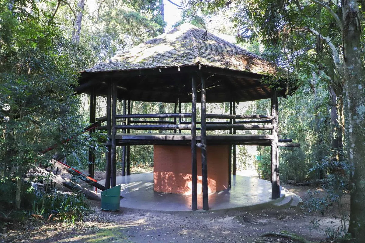 Imagem mostra as novidades no Bosque Reinhard Maack, em Curitiba.