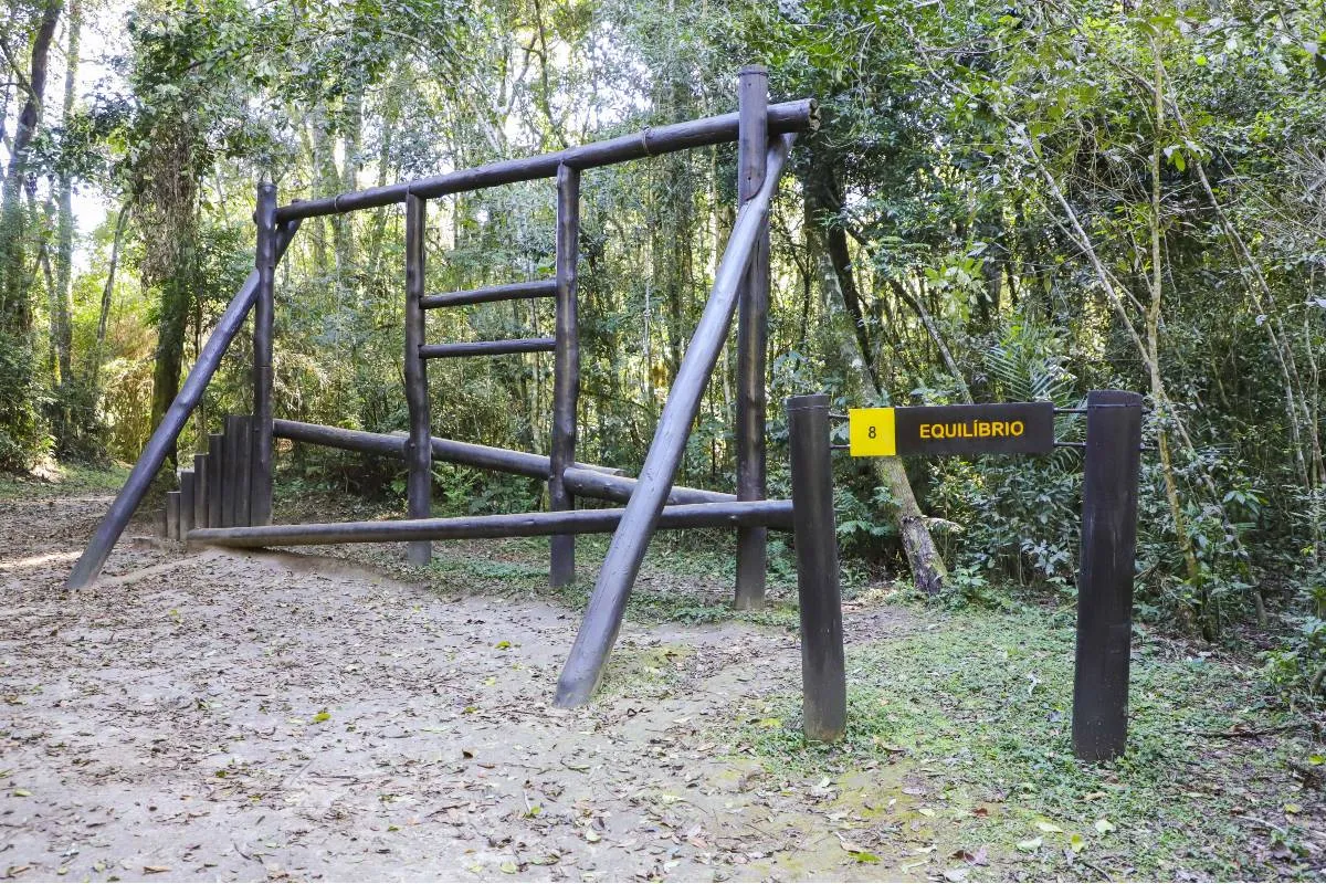 Imagem mostra as novidades no Bosque Reinhard Maack, em Curitiba.