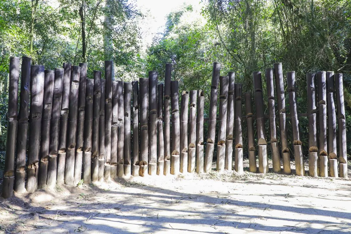 Imagem mostra as novidades no Bosque Reinhard Maack, em Curitiba.