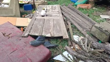 Idoso é resgatado de casa no Caximba