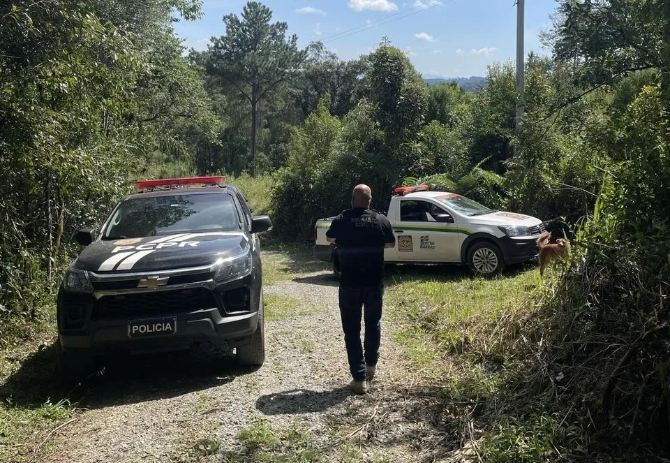 Condenado maus tratos