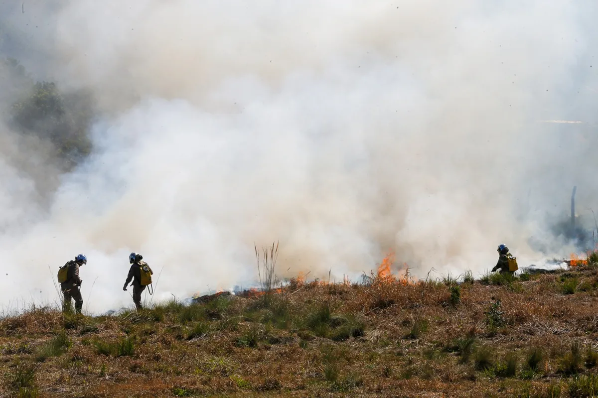 Incêndio florestal
