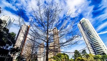 Previsão do tempo Curitiba