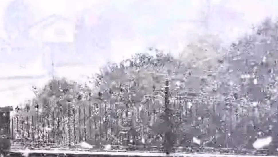 Santa Catarina registra neve