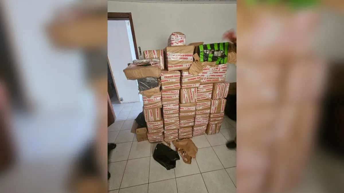 Apreensão de maconha em Curitiba