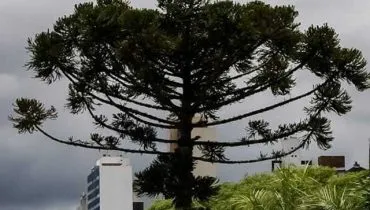 c8a0f1d0-5d15-11ec-927c-cbee494131e7-wp