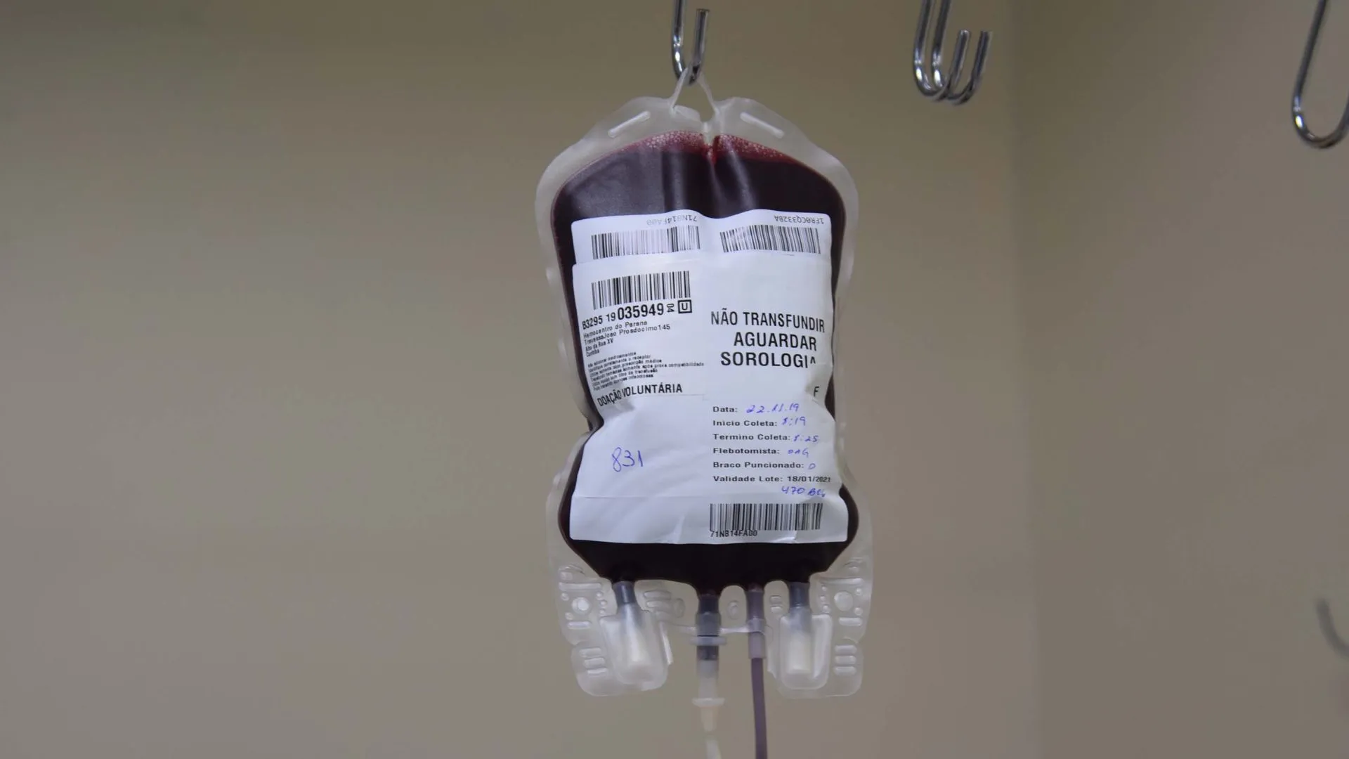 transfusão de sangue