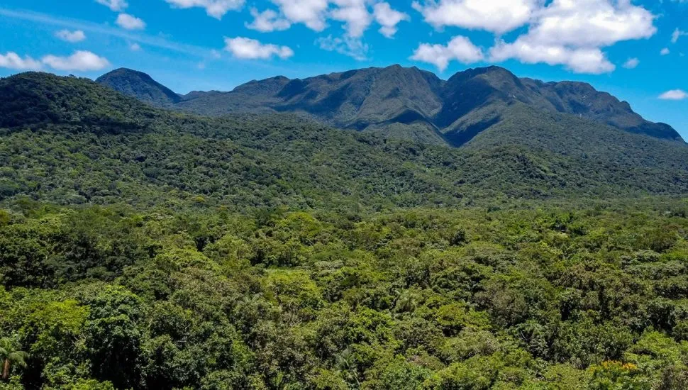 Serra do Mar paranaense, em Morretes