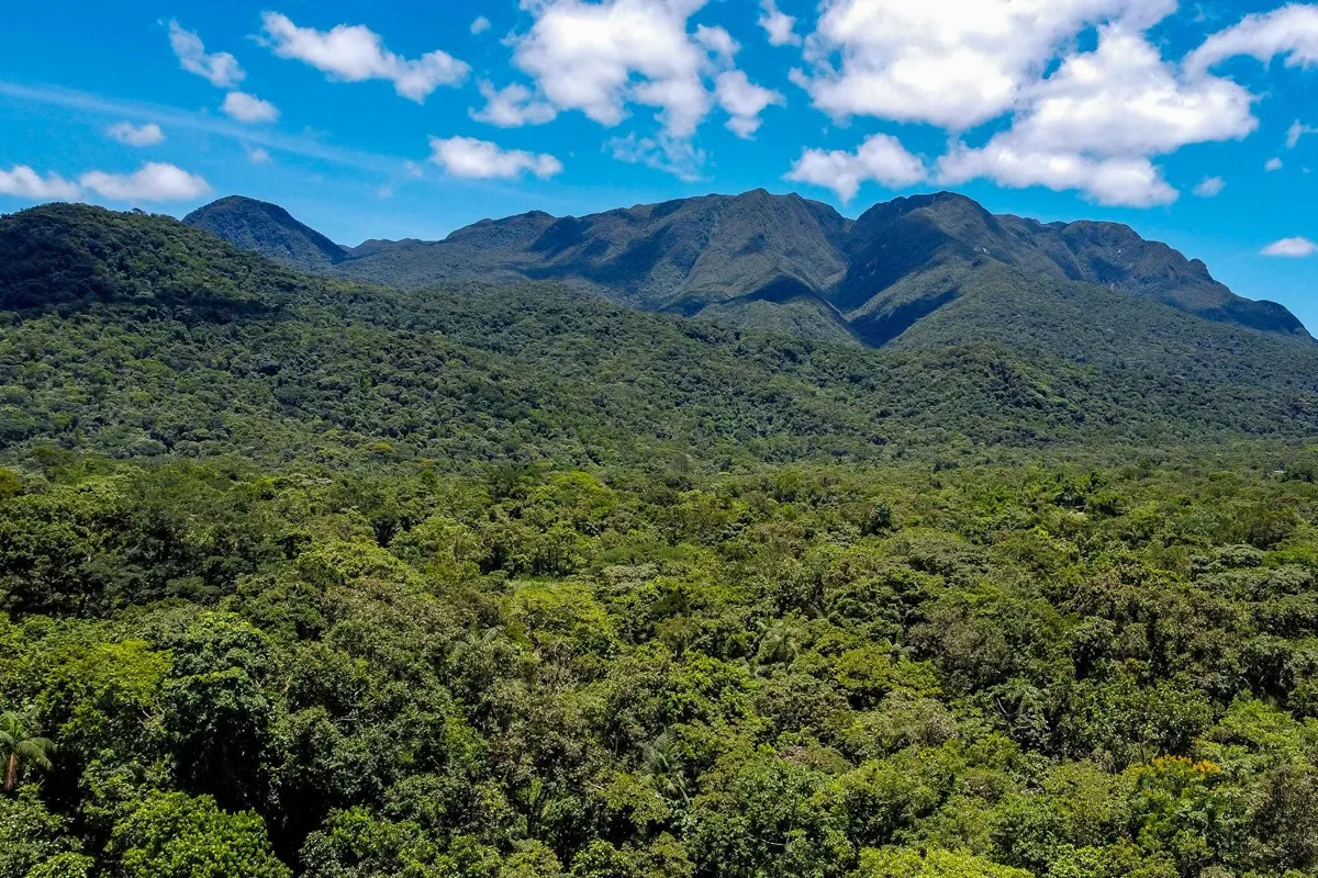 Serra do Mar paranaense, em Morretes