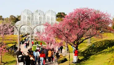 Curitiba vai parar no dia 8 de setembro! O motivo? Simples! O feriado da Padroeira Nossa Senhora da Luz dos Pinhais. Saiba mais na Tribuna