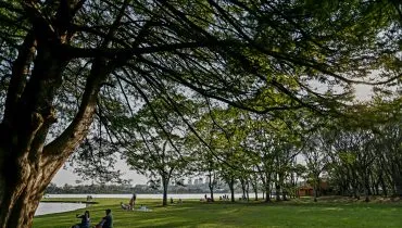 Primavera no Paraná