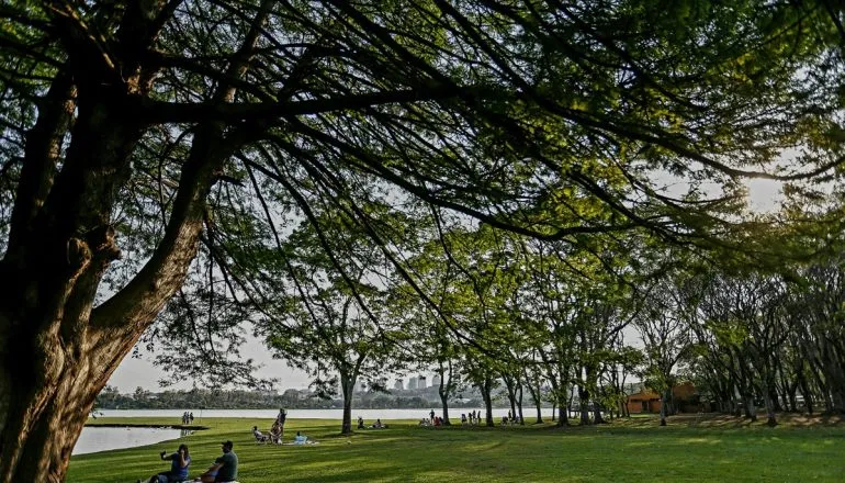 Previsão em Curitiba: segunda começa com calor e céu nublado