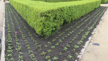Troca de flores no Jardim Botânico de Curitiba