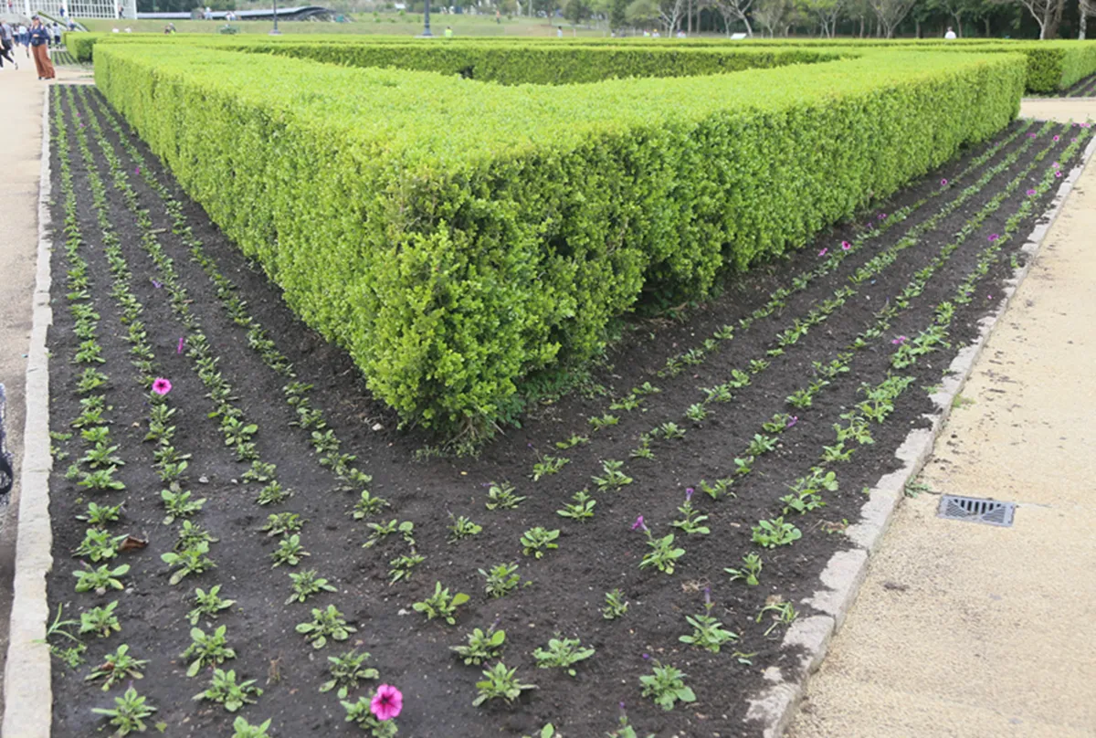 Troca de flores no Jardim Botânico de Curitiba
