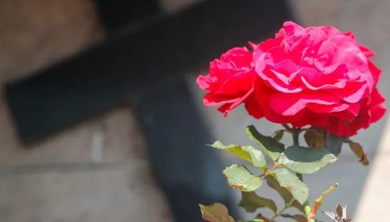 Falecimentos em Curitiba; Obituário desta quinta-feira (04/12)