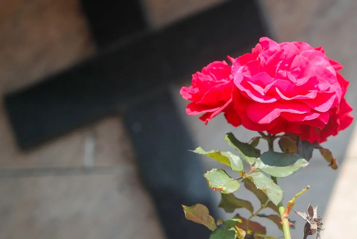 Falecimentos em Curitiba; Obituário desta quinta-feira (04/12)