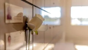 Obituário Curitiba! Lista de falecimentos desta quarta-feira (19/11)