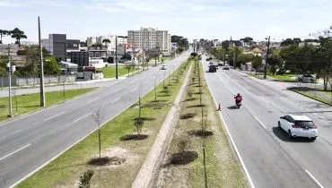 Plantação de árvores na Avenida das Torres