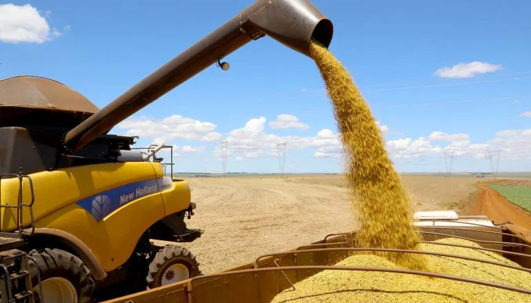 Cooperativas são responsáveis por 70% da soja, 62% do milho e 55% do trigo produzidos no Paraná. (Foto: Jaelson Lucas/AEN) 