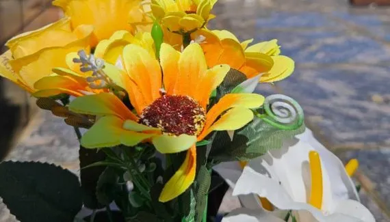 Falecimentos em Curitiba; Obituário desta sexta-feira (19/12)