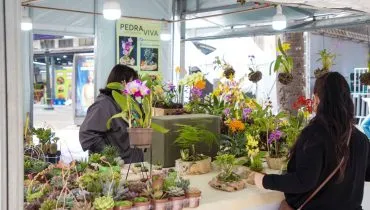 Imagem mostra uma feira de primavera em Curitiba