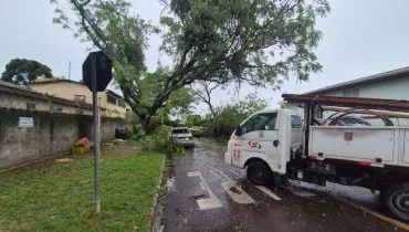 Ciclone derruba árvores em Curitiba e no Paraná