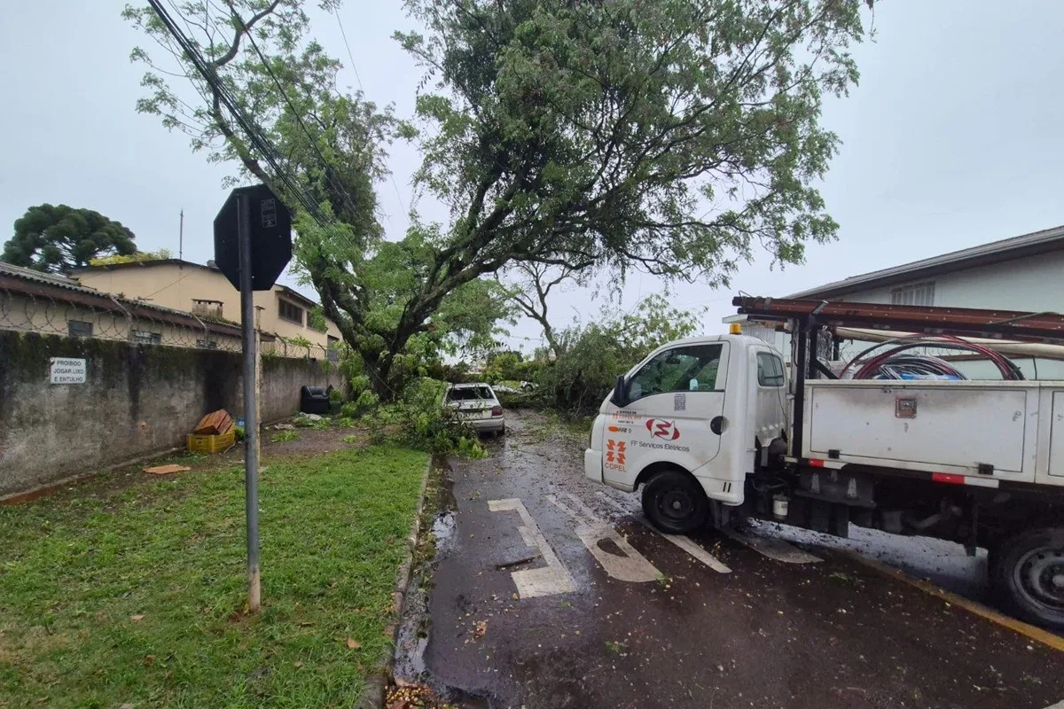 Ciclone derruba árvores em Curitiba e no Paraná