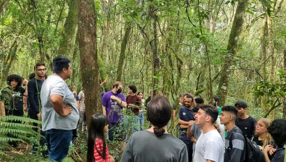 Imagem mostra várias pessoas ouvindo um guia falar no meio da floresta