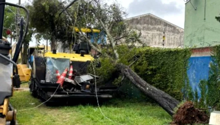 Imagem mostra uma árvore caída em cima de uma máquina com frios de luz estourados.