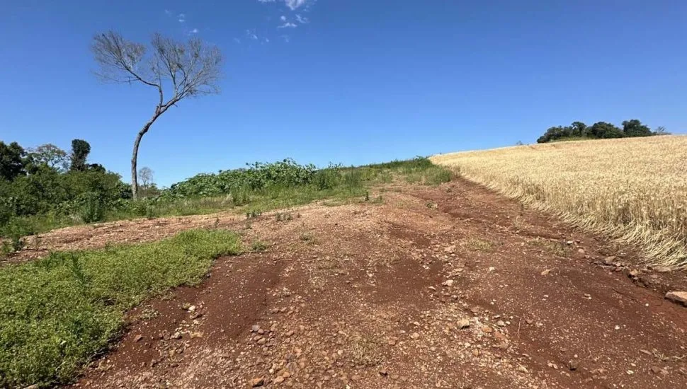 Área de desmatamento ilegal no Paraná