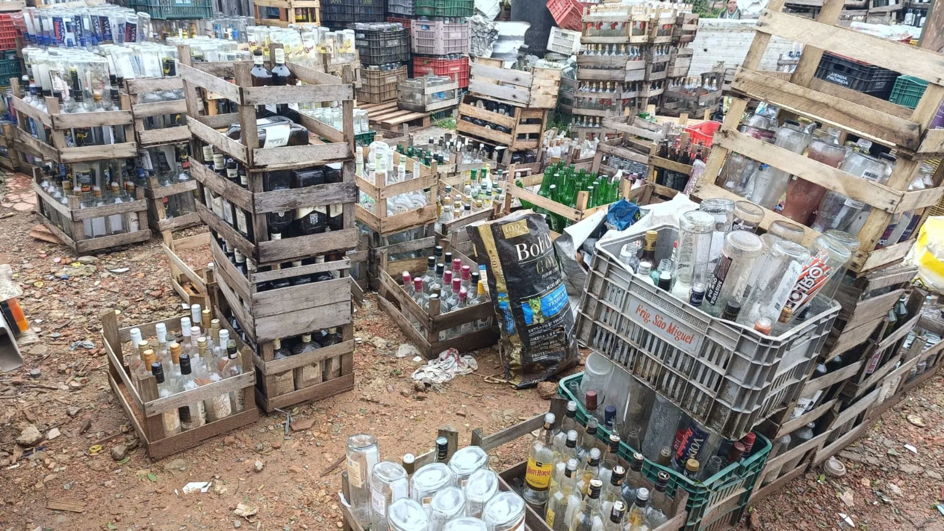 Garrafas de bebidas alcoólicas são destruídas em operação na Grande Curitiba