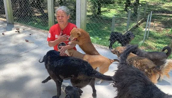 Vaquinha online e benfeitor anônimo, leitor da Tribuna, dão novo lar a protetora e cães despejados
