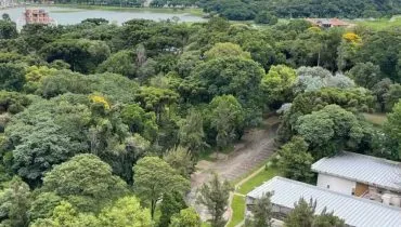 Bosque da Copel