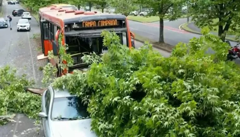 Imagem mostra o biarticulado acidentado em uma das ruas mais famosas de Curitiba: a Rua do Outono
