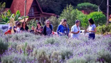 Cantinho escondido perto de Curitiba parece cenário da França; veja fotos