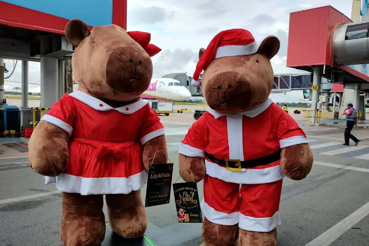 Capivaras gigantes no Aeroporto Afonso Pena.