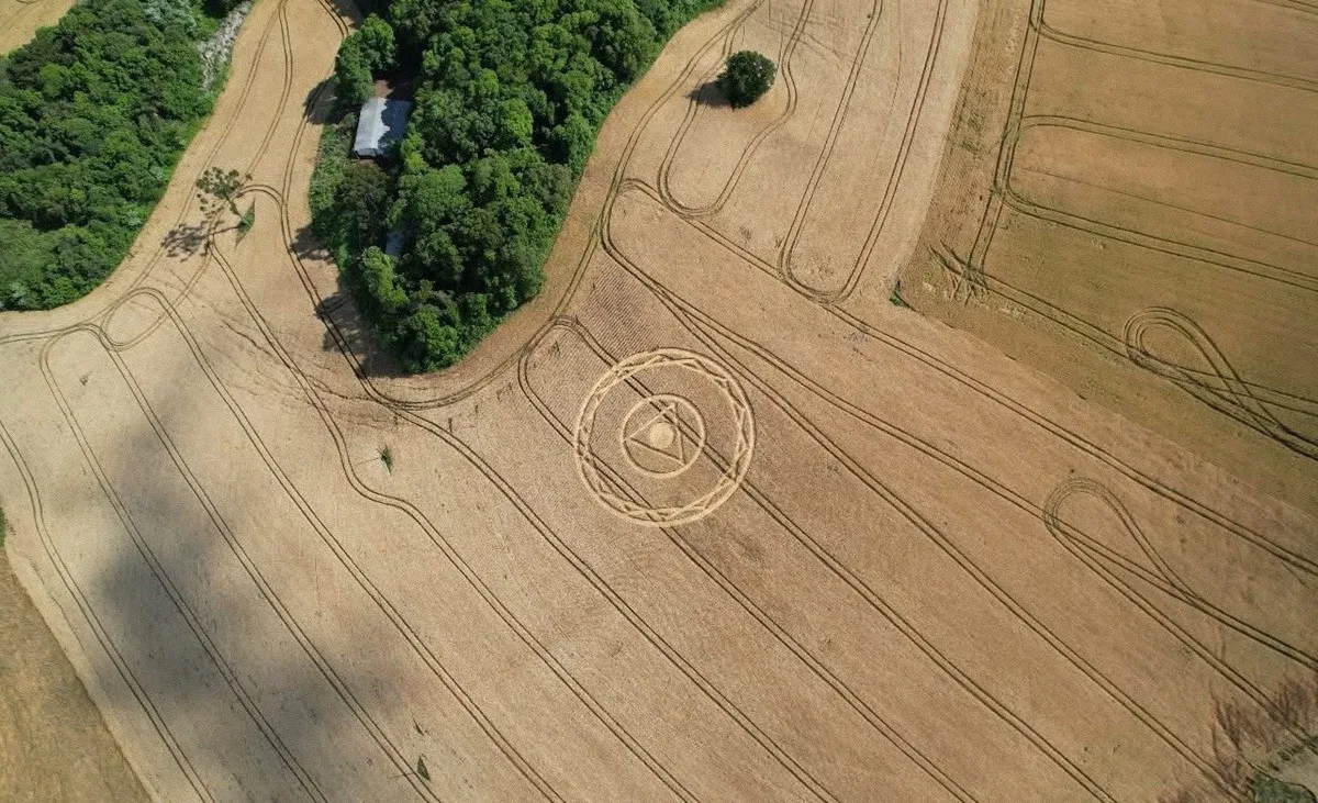 Agroglifo surge em plantação em Ipuaçu, em Santa Catarina