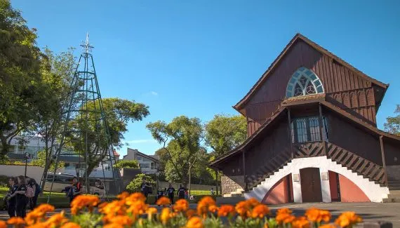 Árvores do Natal de Curitiba começam a ser montadas; veja onde