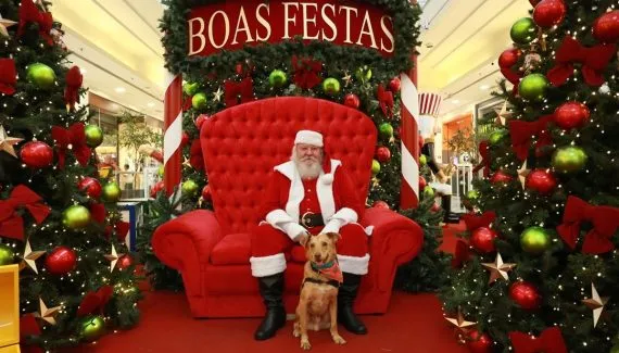 Shopping de Curitiba realiza Natal Pet com fotos grátis com Papai Noel