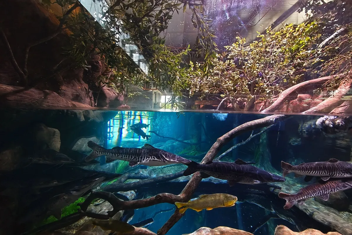Novo aquário em Foz do Iguaçu