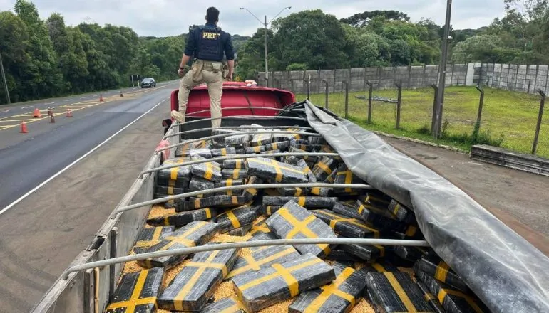 Maconha lidera apreensões, crack dispara 27% em um ano no Paraná