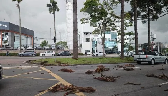 Chuva forte vira o tempo em Curitiba e rajadas de vento passam de 55 km/h