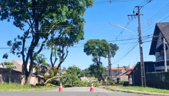 Quase 20 horas após temporal, ruas seguem bloqueadas por quedas de árvores em Curitiba