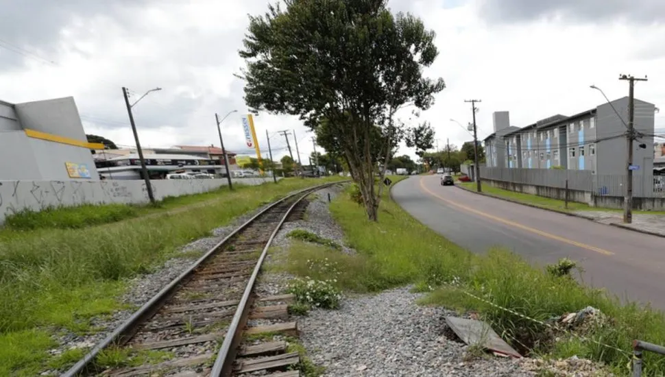 Imagem mostra uma árvore que beira a linha de trem em Curitiba