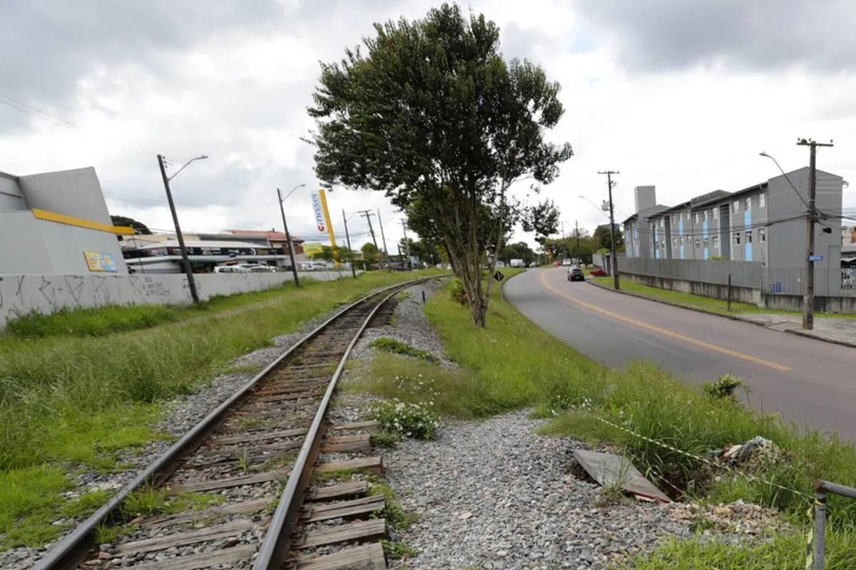 Imagem mostra uma árvore que beira a linha de trem em Curitiba