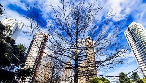 Previsão do tempo em Curitiba tem máxima de 30ºC, mas ciclone se aproximando