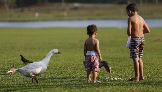 Verão começa neste domingo com calor intenso em Curitiba e litoral