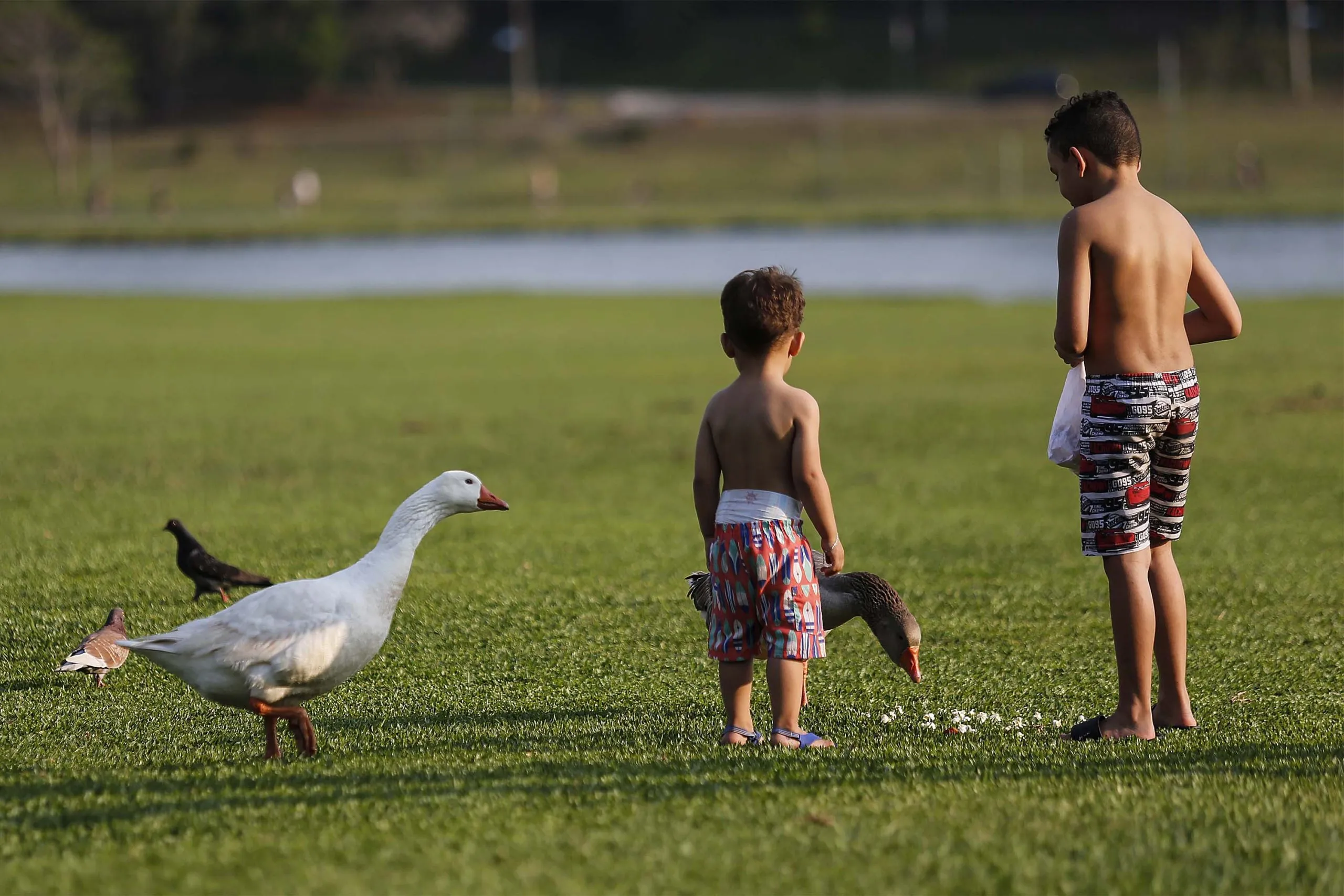 calor no parque barigui, em curitiba