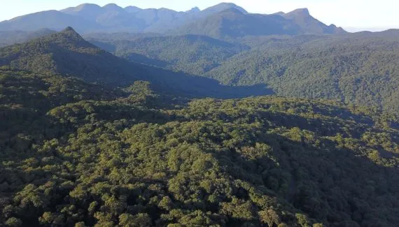Bombeiros salvam jovens perdidos em trilha na grande Curitiba