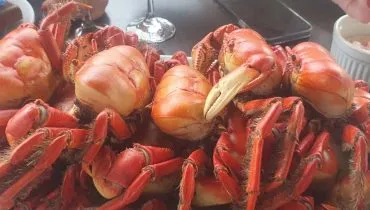 Festival do caranguejo de 2025 em Pontal do Paraná começa no dia 5 de dezembro